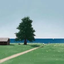 Rohail Nazir profile picture