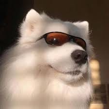 Alizeh Shah profile picture