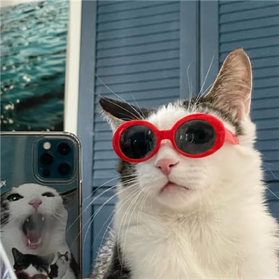 Javed Miandad avatar