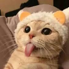 Agha Ali profile picture